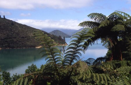 Insel